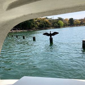 カネコアヤノ Billboard Live ワンマンショー 2023 - 12.15 Billboard