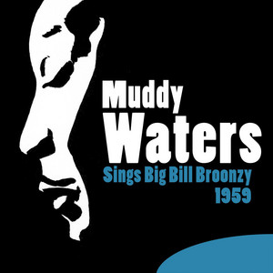 Broonzy Muddy Waters Big 洋楽 Sings Bill