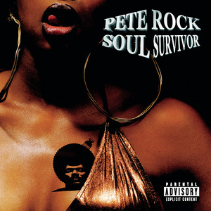 Hip Hop Underground Soul Classics - Compilation by Pete Rock | Spotify