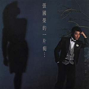 DVD 張國榮 张国荣 38曲収録 HIS STORY