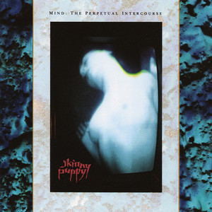VIVI SECT VI - Album by Skinny Puppy | Spotify