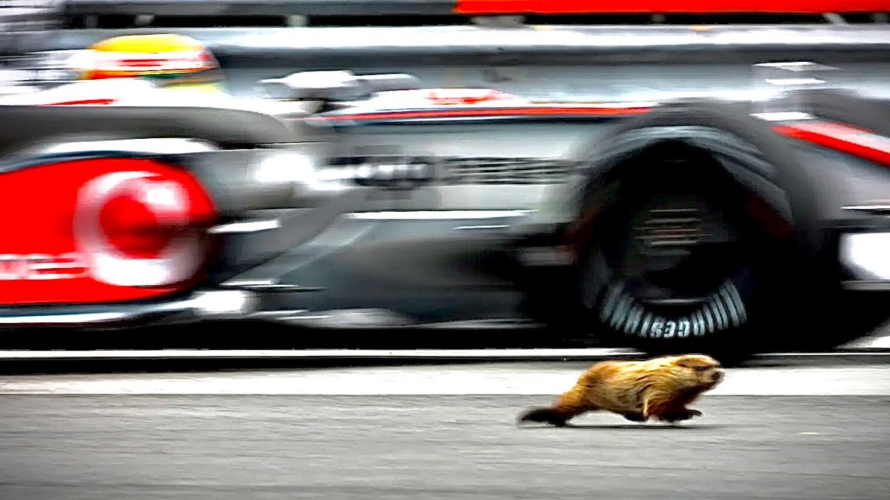 2008 Canadian Grand Prix | Round 7/18 - YouTube