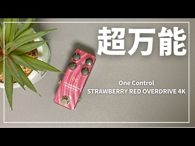 ゲイン幅が超広い歪みペダル 