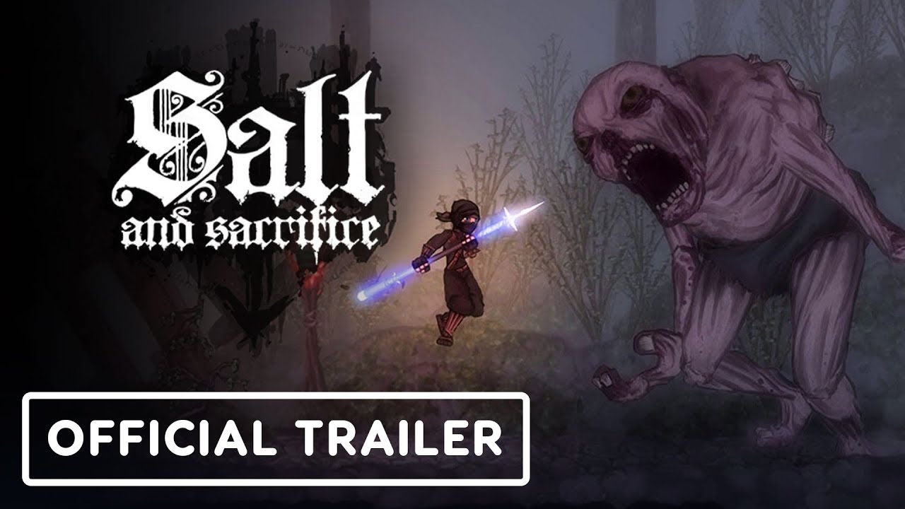 Why I Can't Stop Playing Salt and Sacrifice (Nintendo Switch