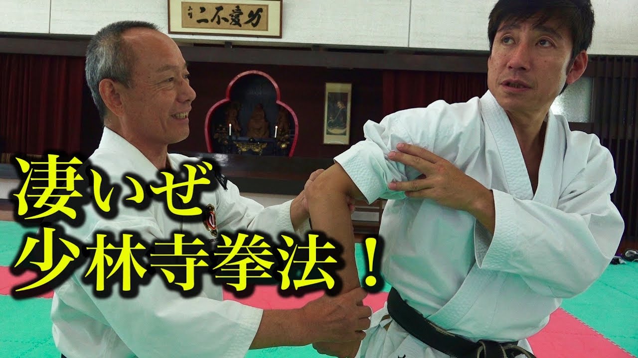 DVD「大いなる遺産2 ～少林寺拳法～」をたった今見終わったので感想