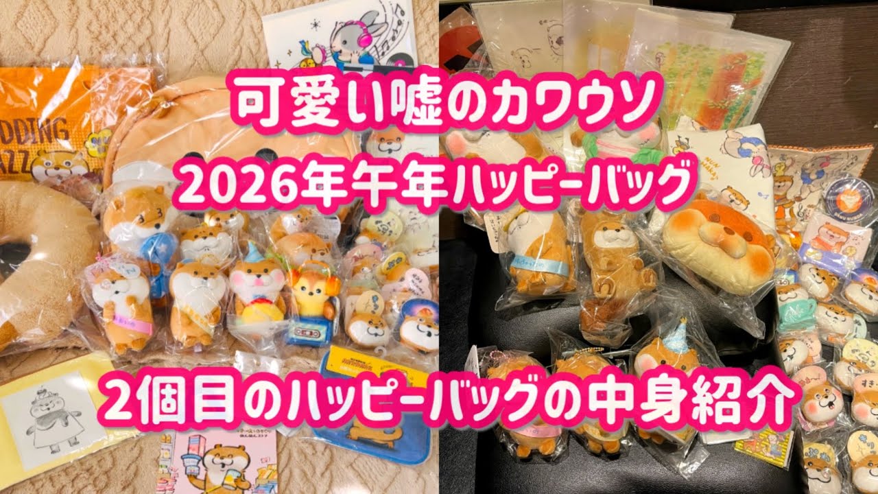 可愛い嘘のカワウソ】2026年 午年ハッピーバッグ🎍彼氏ぬんの中身紹介