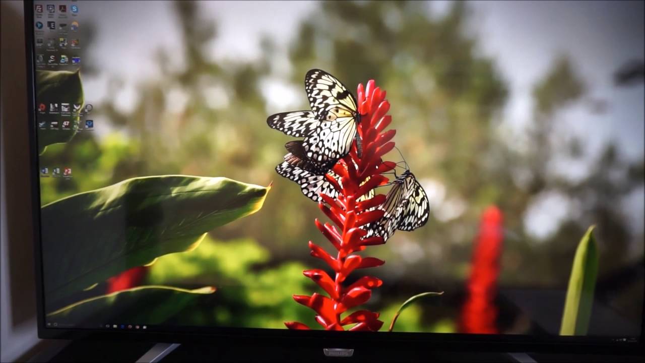 Philips BDM4350UC - PC Monitors