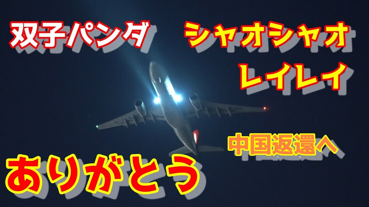 Thank you, Xiao Xiao and Lei Lei 🐼 With the return to China