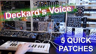 Black Corporation Deckard's Voice - Eurorack Module on ModularGrid