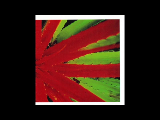 Jejune ‎– This Afternoons Malady - YouTube