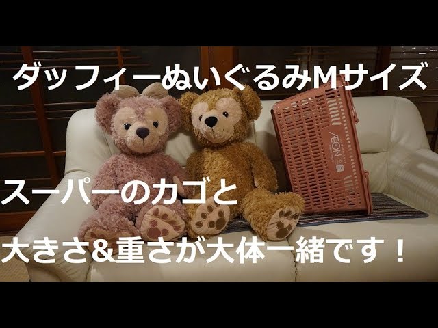 Duffy medium-sized stuffed animal - roughly the same size and