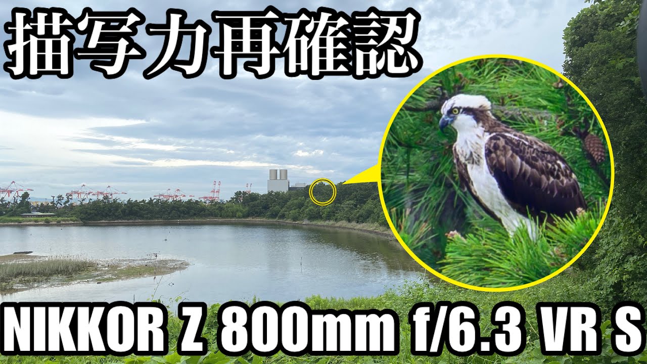 描写検証】863の描写力を改めて認識 - Z 800mm f/6.3 VR S - - YouTube