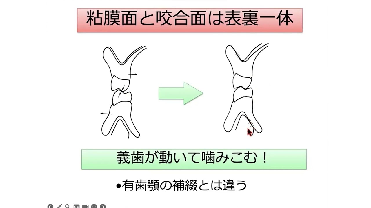 訪問診療と全部床義歯 – 株式会社デジタルクリエイト・オンラインショップ