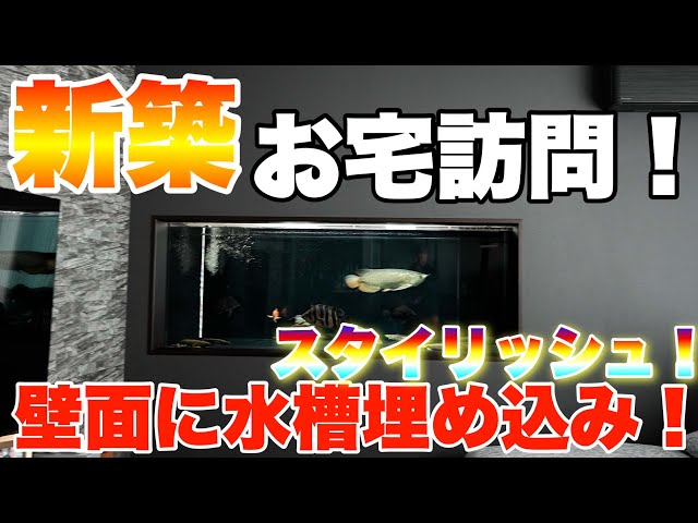 sddefault.jpg?v=66029afa