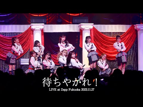 LIVE】待ちやがれ！ (HKT48 秋LIVE2023～博多にまつわるエトせとら