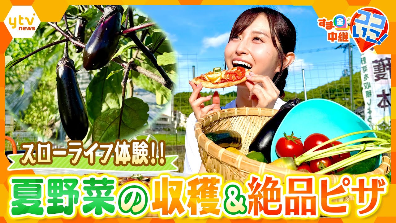 自然の中でスローライフを満喫！夏野菜の収穫体験＆新鮮野菜を使った