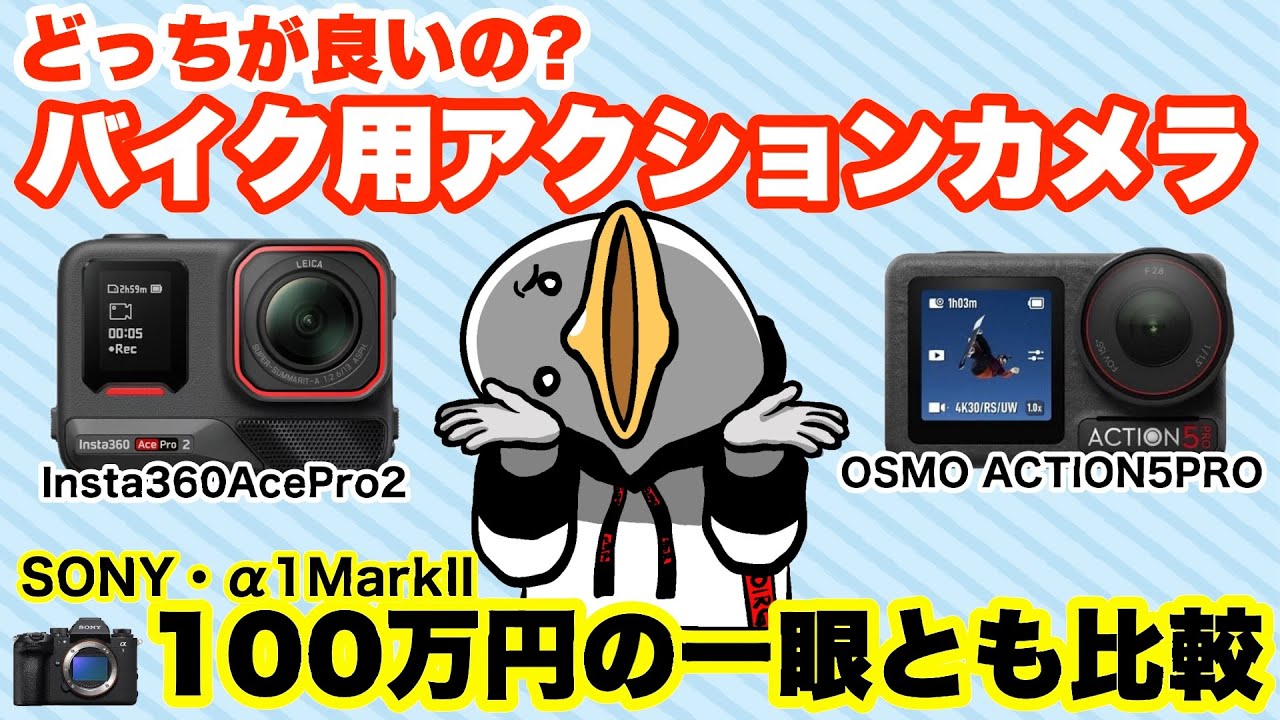 It's surprisingly different! A thorough comparison of motorcycle