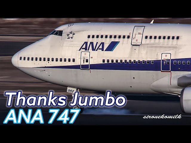 ANA さよならフライト 747-400 ANA さよならフライト 747-400 ANA最後