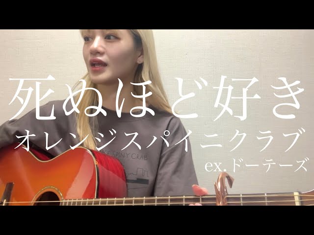 死ぬほど好き / オレンジスパイニクラブ(ex.ドーテーズ) - YouTube