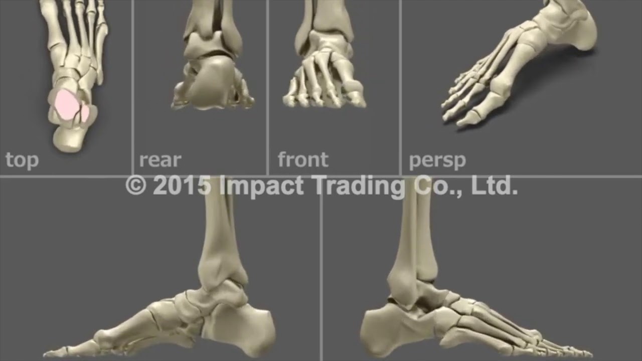 NWPL社 ファンクションオーソティクス インソール Life OTC (ライフ