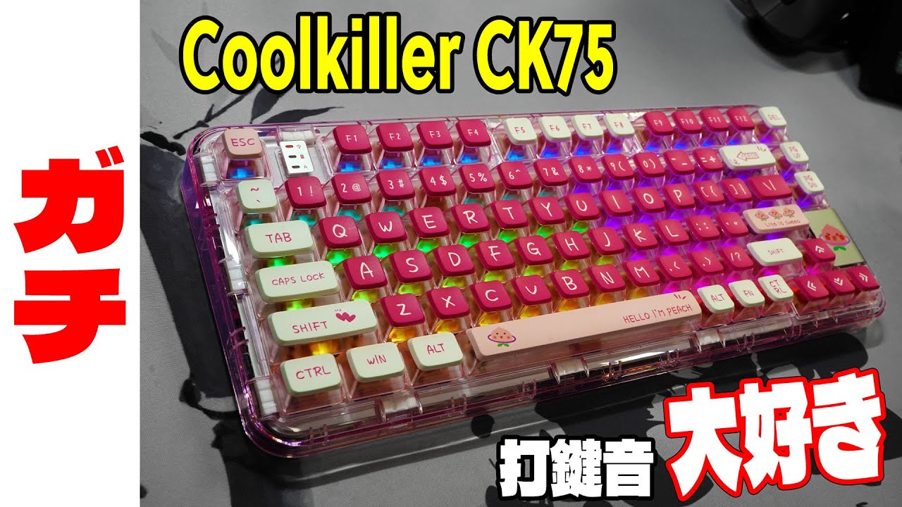 カジノ】6デック用カードシュー（シューター）ディスカードトレイ