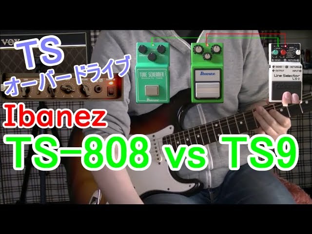 比較レビュー】 Ibanez TS-808 vs TS9「本丸！TUBE SCREAMER決戦