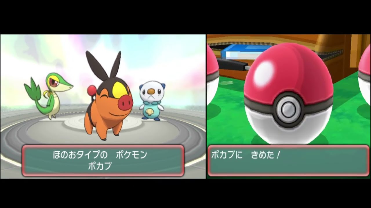 maxresdefault.jpg?sqp=-