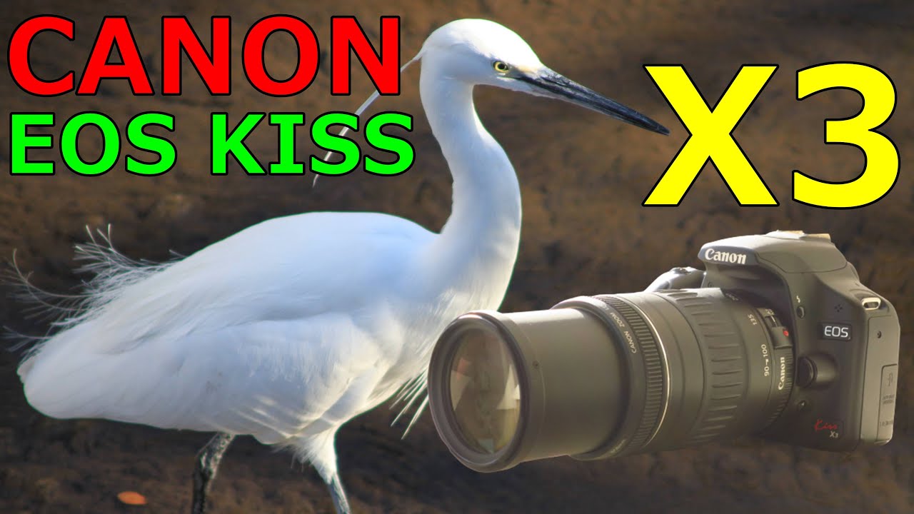 Junk] 3,300 yen CANON EOS KISS X3 Operation check and sample