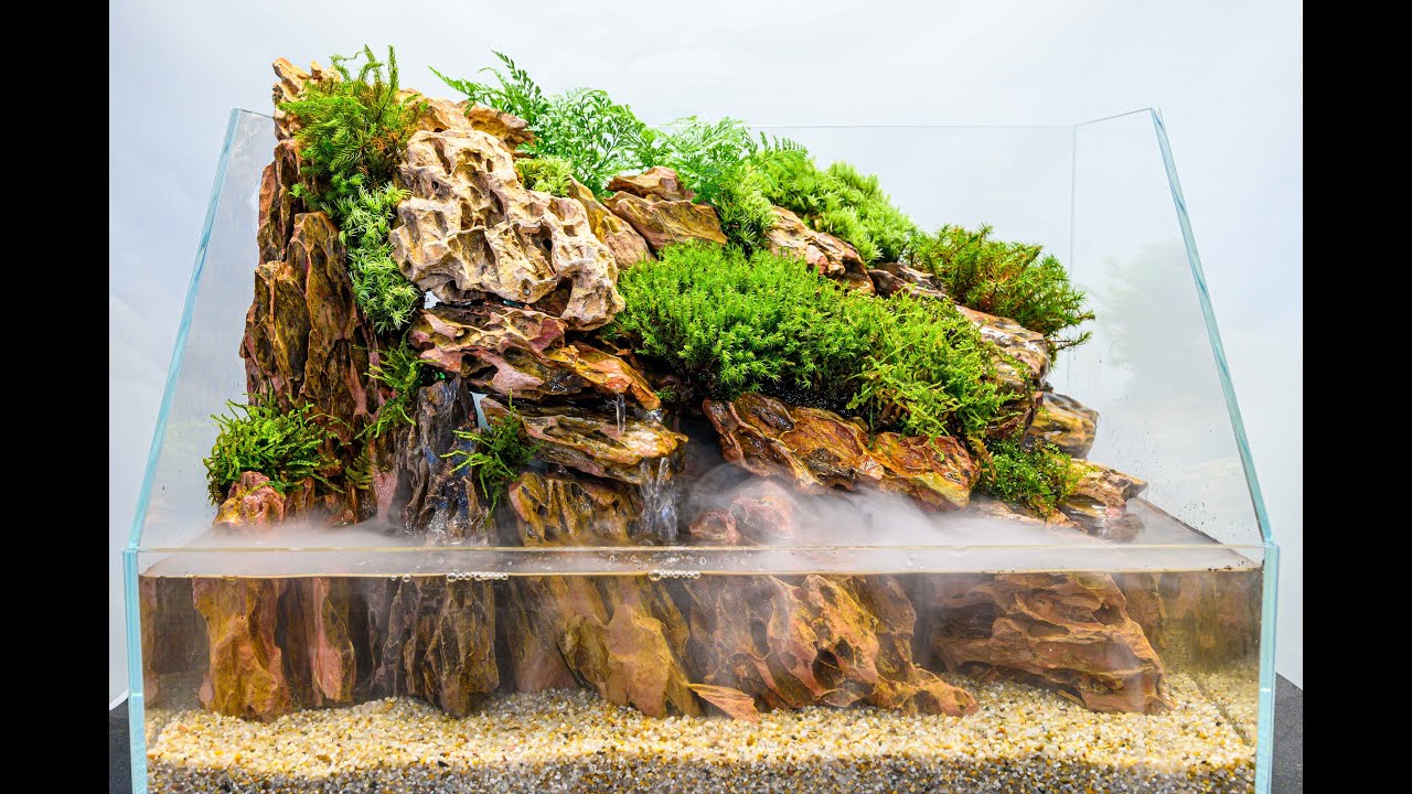 Making a Aquaterrarium with fall and mist 〜滝と霧のアクア