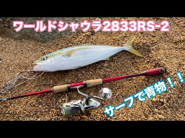 ワールドシャウラで狙うサーフショアジギ☆水深1mでも食ってくる