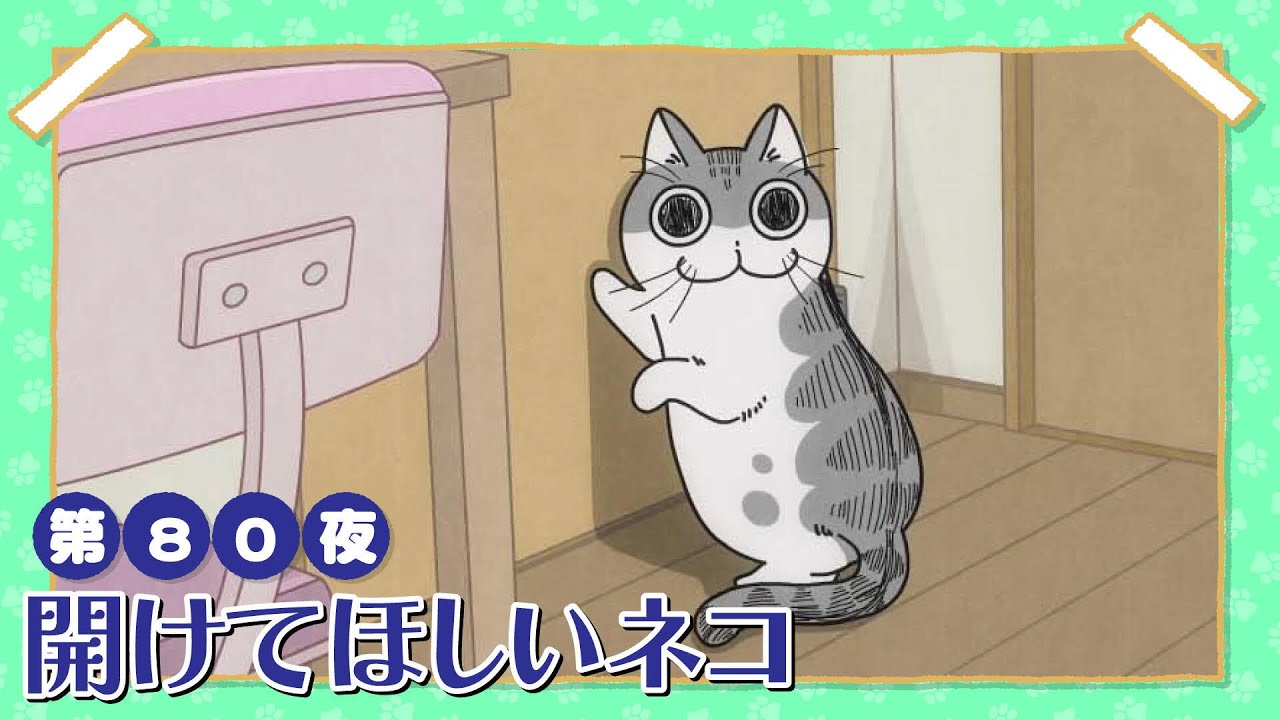 アニメ『夜は猫といっしょ』第80夜「開けてほしいネコ」 - YouTube