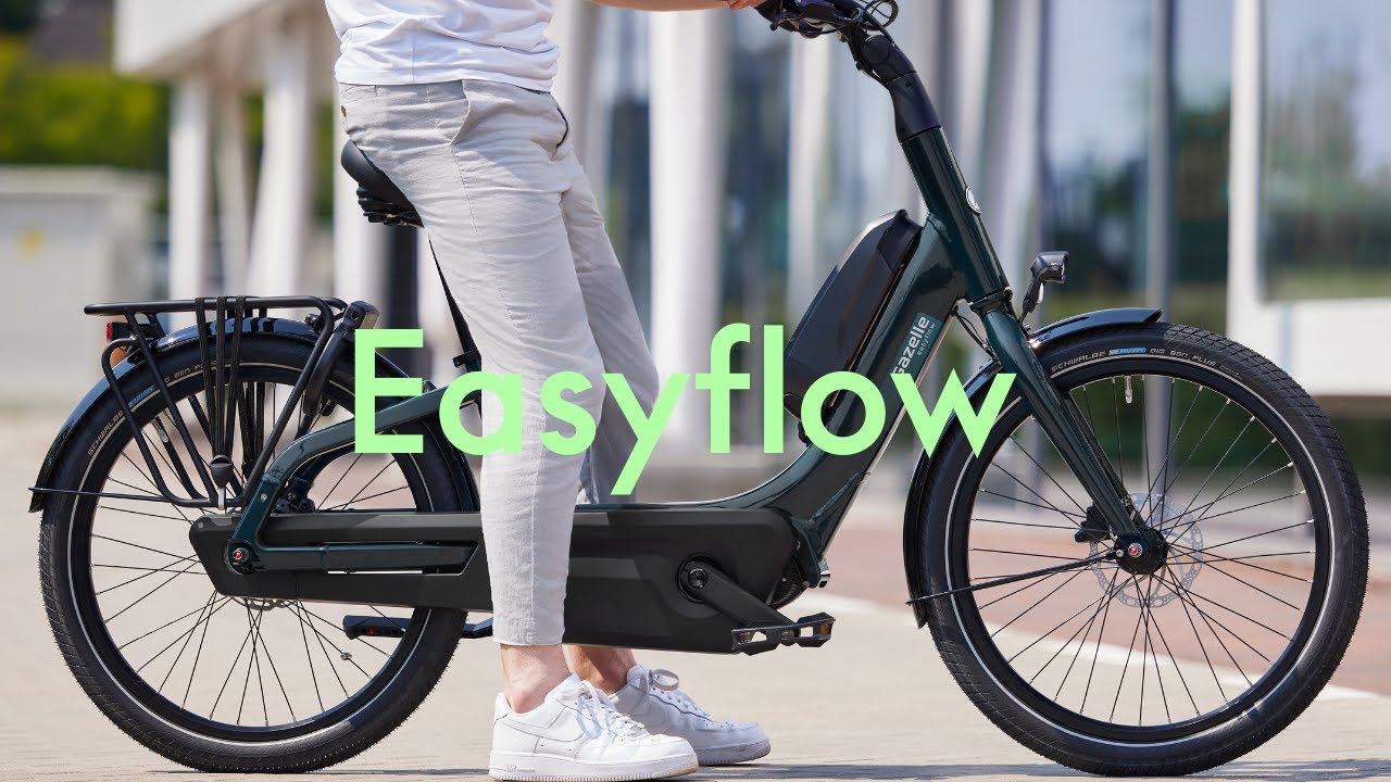 Gazelle Easyflow C7