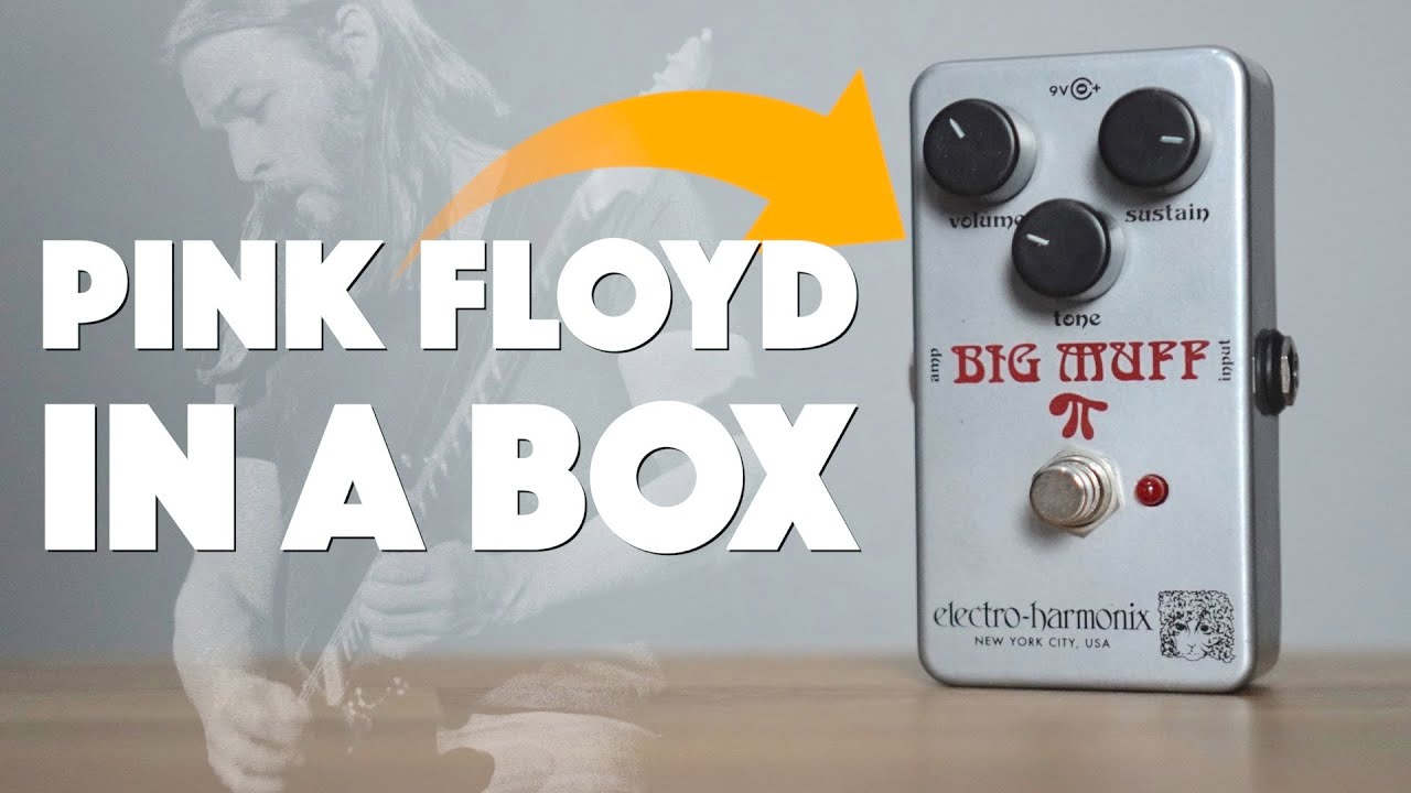 Pink Floyd In A Box! Fuzz - Big Muff Tones | EHX Ram's Head (No