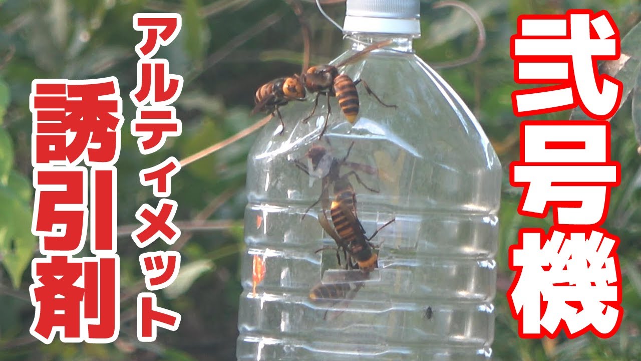 スズメバチの罠 弐号機 アルティメット誘引剤【自作ペットボトル