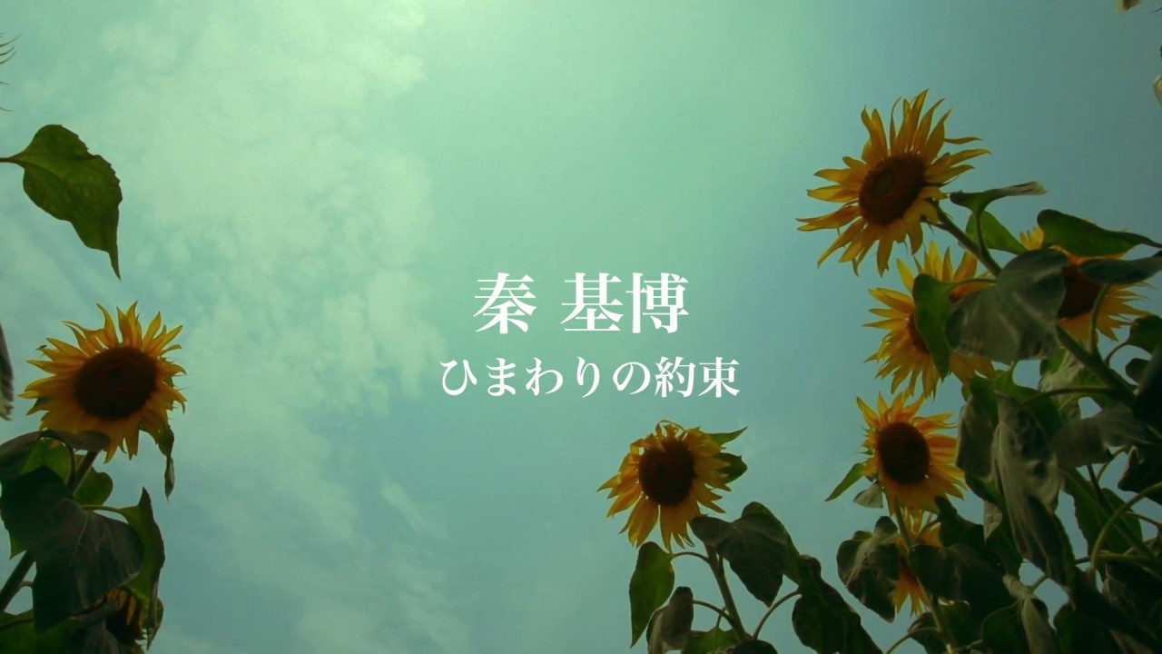 秦基博(7inch) ひまわりの約束について御紹介するページです。