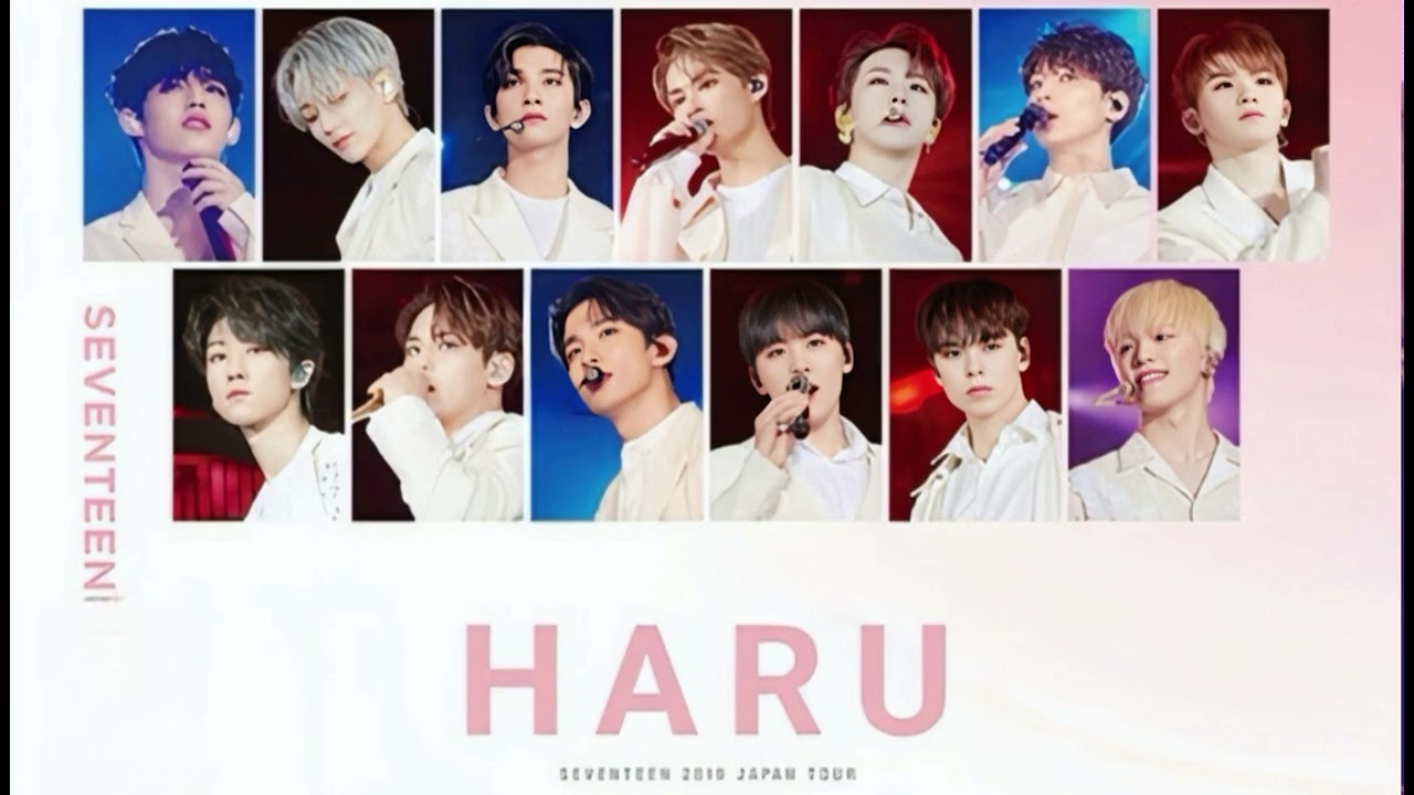 SVT Playlist] 2019 SEVENTEEN JAPAN TOUR [HARU] (콘서트_ver