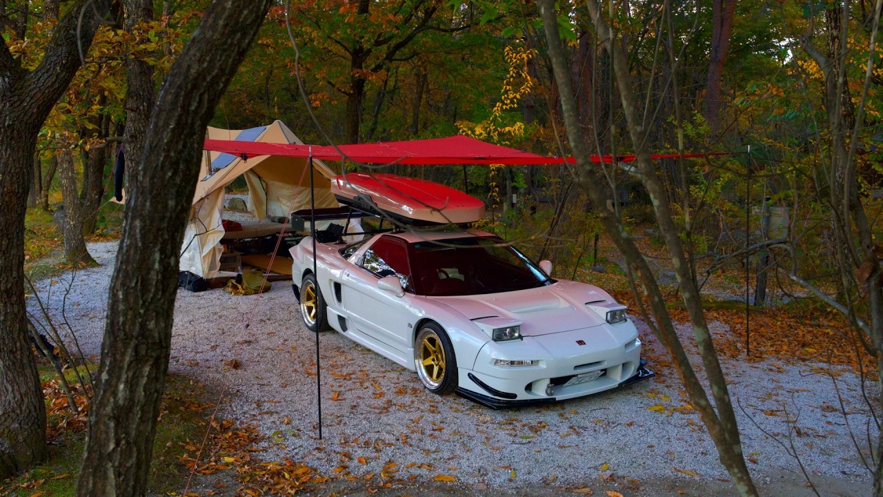 Silent Car Camping with My Dog in an Autumn Forest | Relaxing ASMR