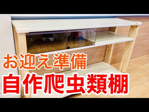 120cmケージとレプタイルボックスが置ける木製オープンラックを作る
