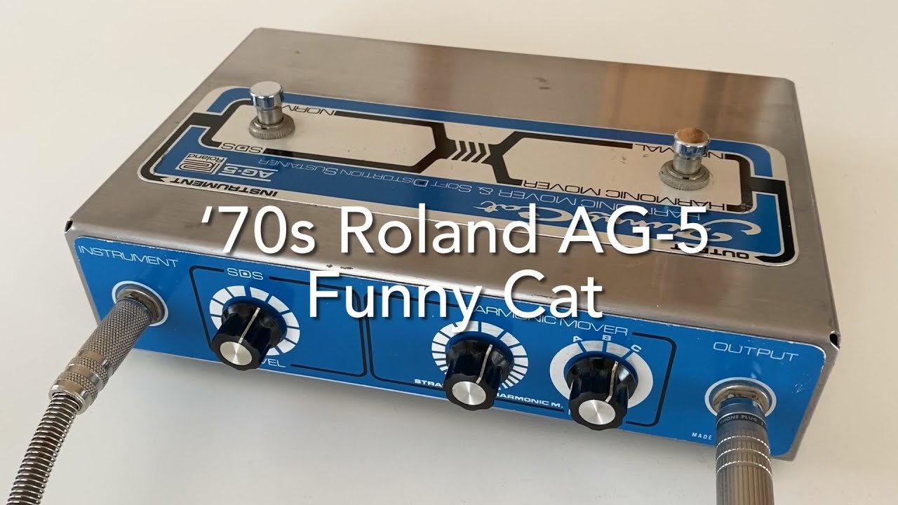 70s Roland AG-5 Funny Cat - YouTube