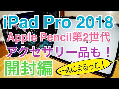iPad Pro 2018 11 inch Apple Pencil 2nd generation accessory