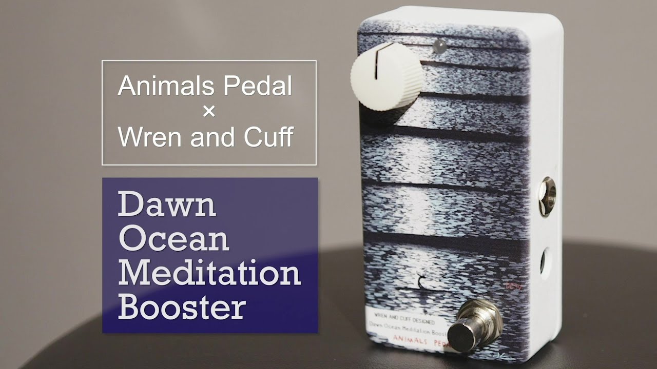 Animals Pedal Dawn Ocean Meditation Booster | Sakamoto Natsuki