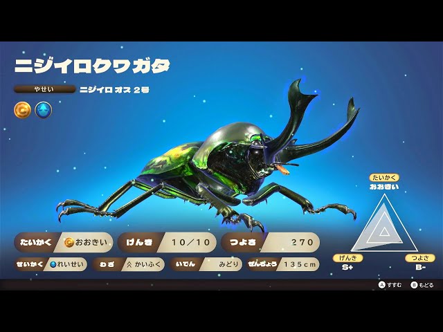 カブトクワガタ - ニジイロクワガタ VS ニジイロクワガタ 新世代甲虫