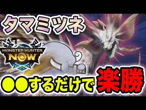 みんな楽勝】タマミツネ、これだけでいいんよ【モンハンNow】 - YouTube