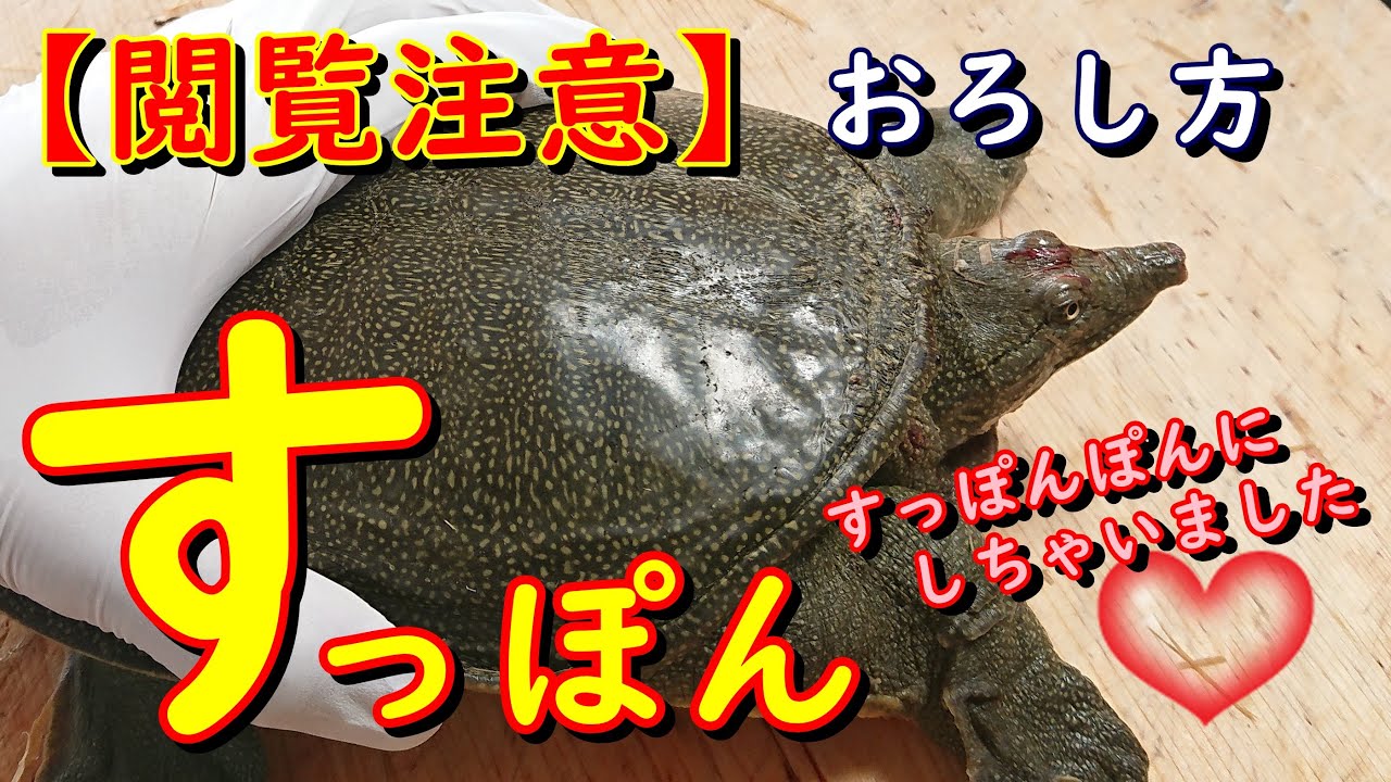 Cooking class taught by a professional: How to fillet a soft