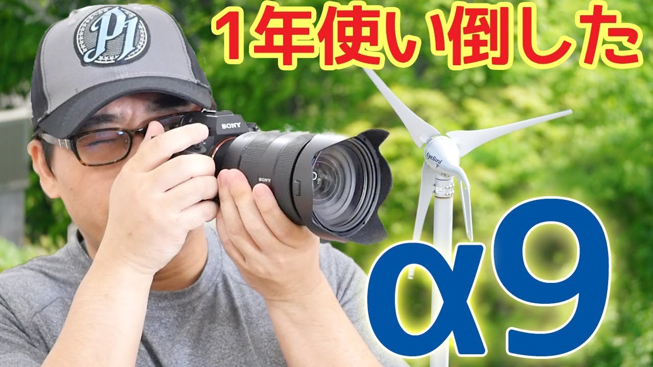 SONY α9を1年使った最終レビュー！今でもZ7やEOS Rに負けないフル