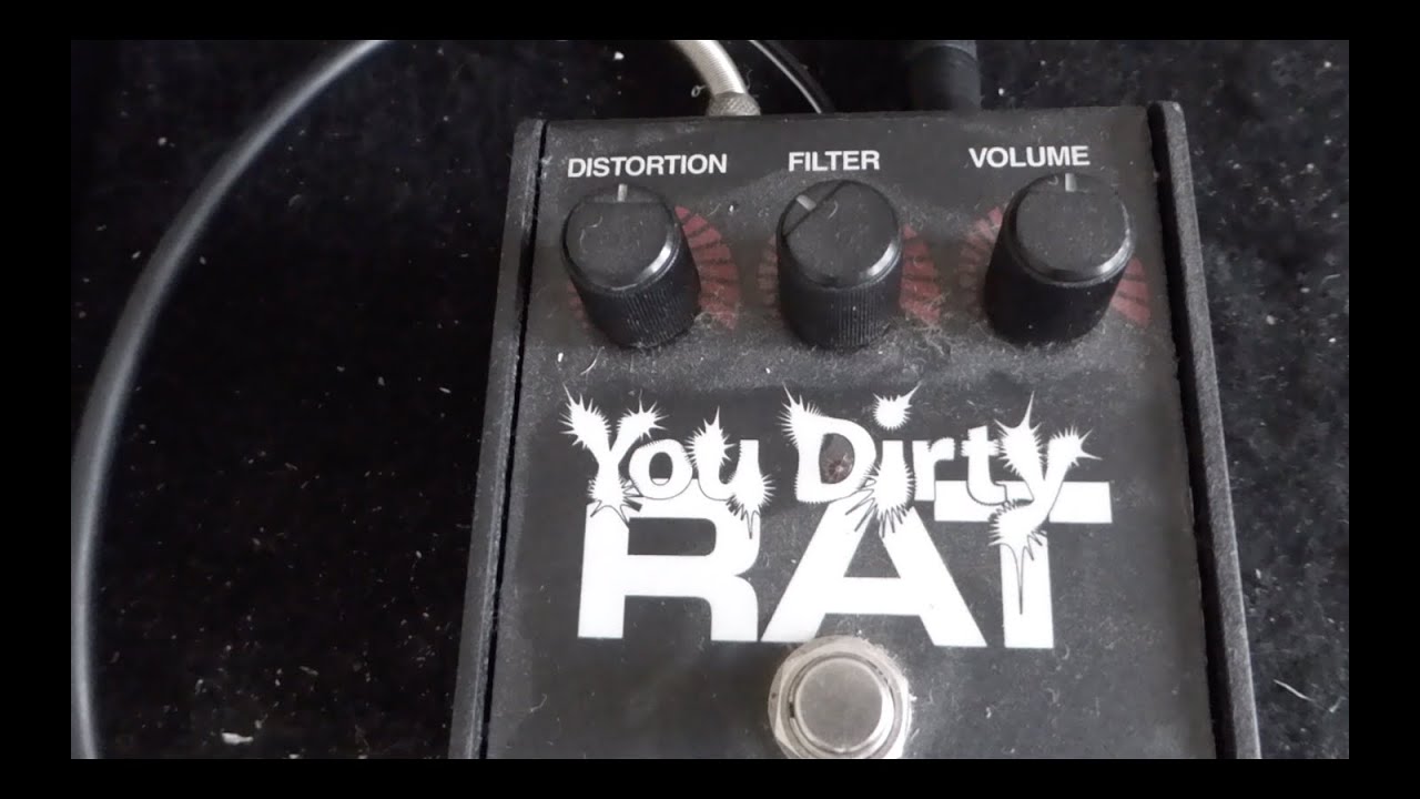 ProCo You Dirty Rat - YouTube