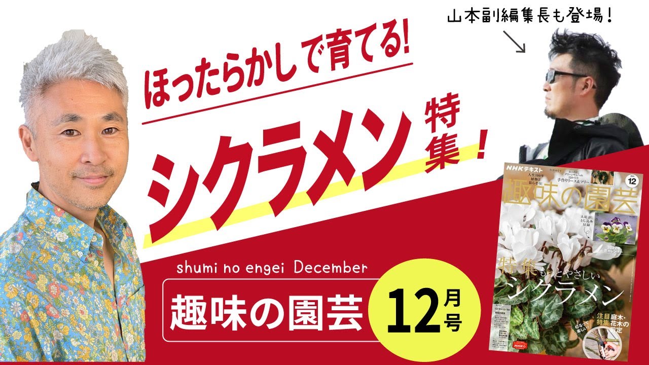 ほったらかしで育てる！ 趣味の園芸12月号 シクラメン特集！ 植木の
