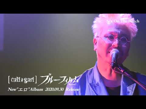 cali≠gari ①ブルーフィルム②カリガリの世界 全4枚 Amazon.co.jp