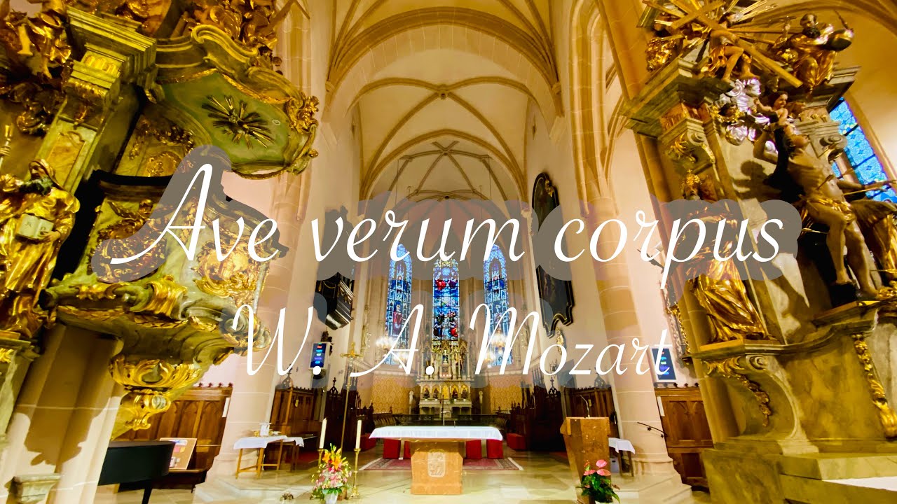 An die Musik - F. Schubert 音楽に寄せて / シューベルト作曲【日本語