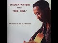 Muddy Waters - Sings Big Bill, The Songs Of Big Bill Broonzy (1960